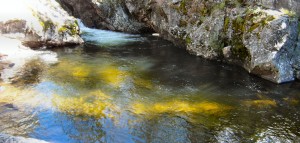 The Pool, North Inlet Trail Photo by Larry W. Jones