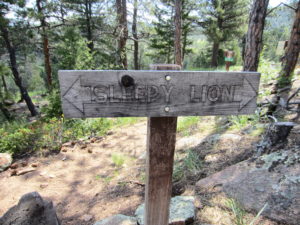 Staying on Sleepy Lion Trail
