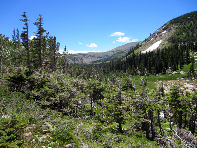 Red Deer Lake | Hiking the Rocky Mountains